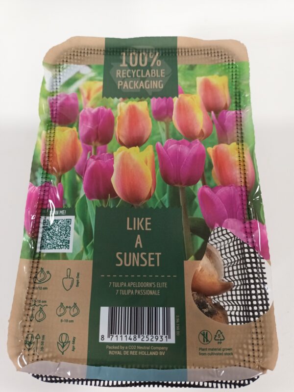 Like a Sunset 14 kpl