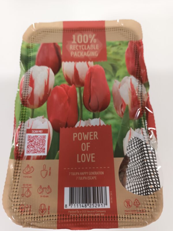 Power of Love 14 kpl