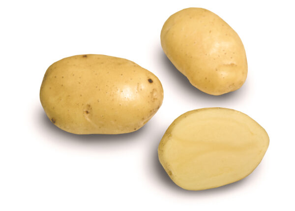 Siemenperuna 'Siikli' 5 kg - Image 2