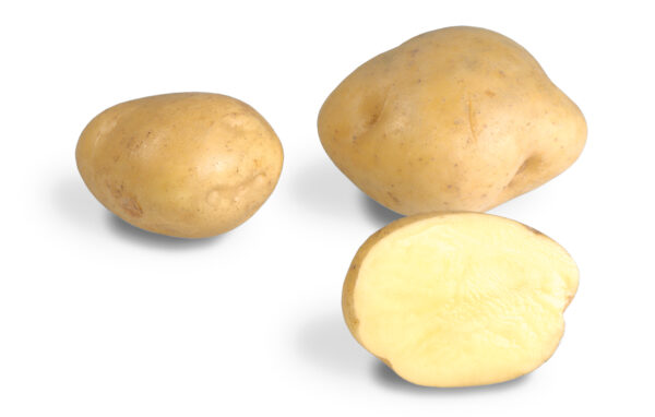 Siemenperuna 'Timo' 2.5 kg - Image 2