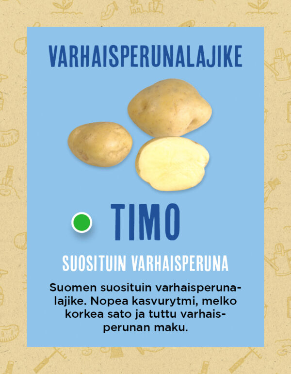 Siemenperuna 'Timo' 2.5 kg