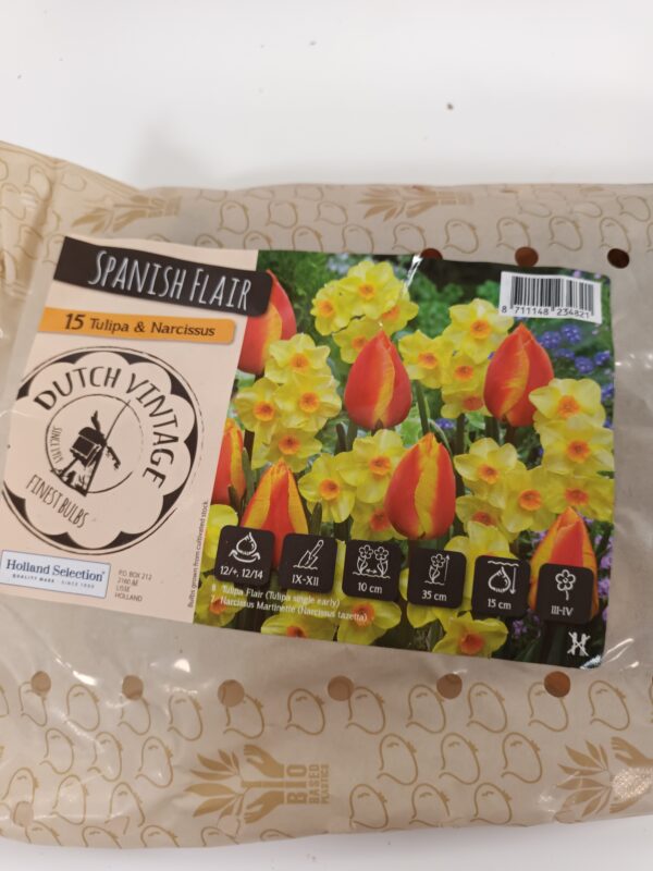 Dutch vintage Mix 15 kpl tulppaani+narsissi
