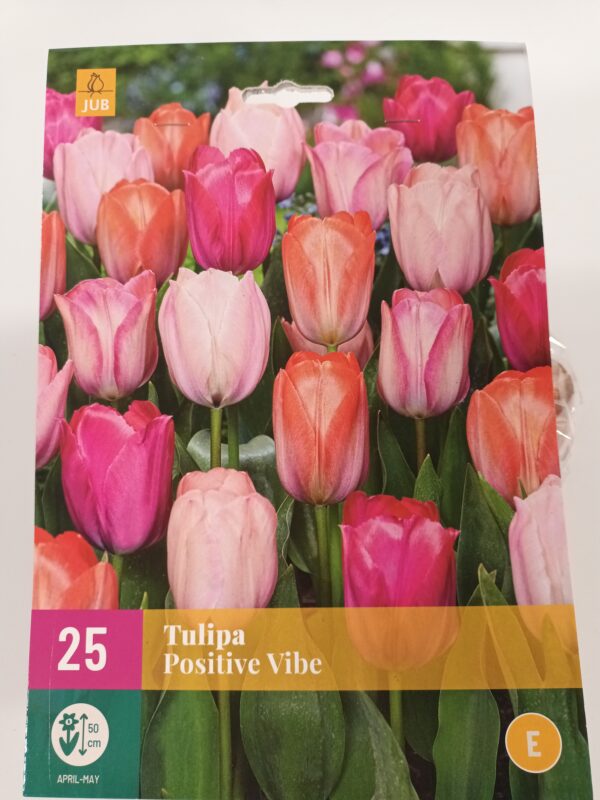 Tulppaani Positive Vibe 25 kpl