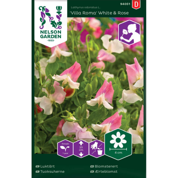 Tuoksuherne, 'Villa Roma White&Rose'