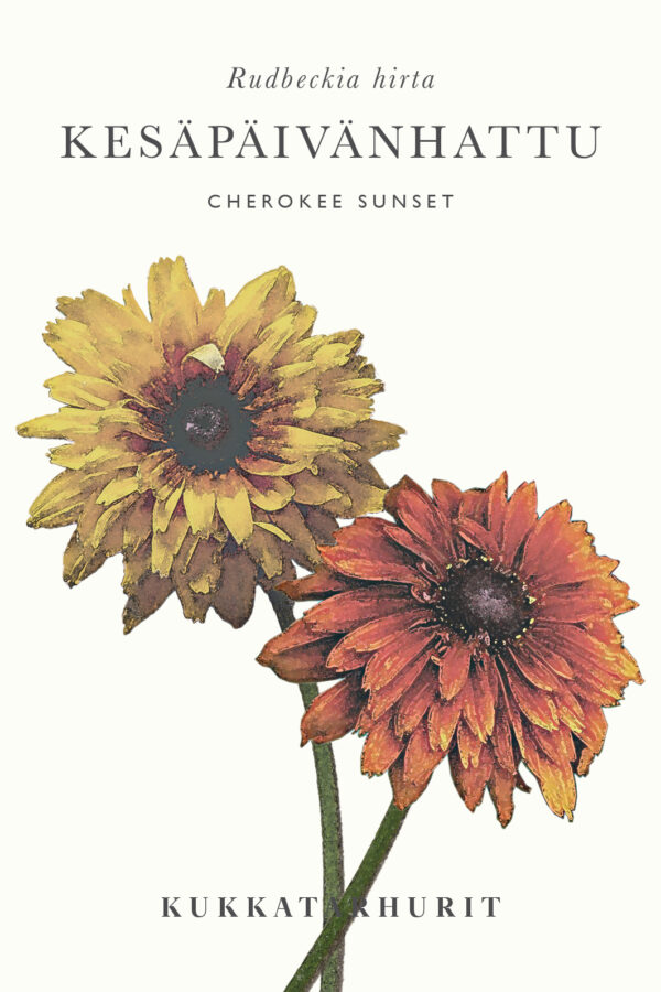 Kesäpäivänhattu 'Cherokee Sunset'