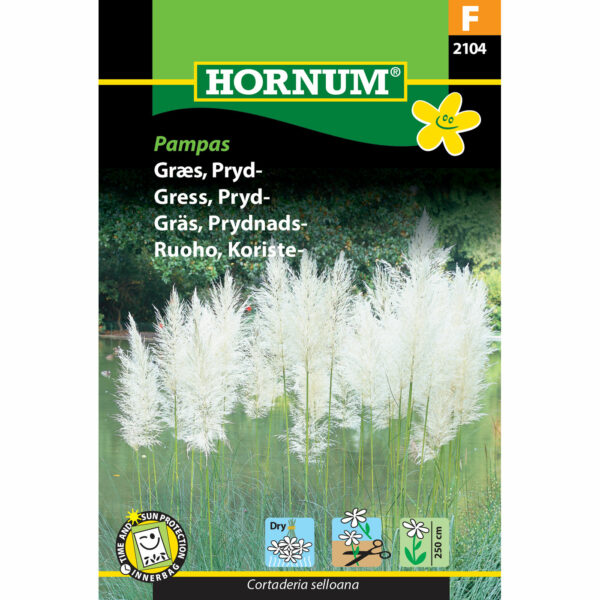 Koristeruoho Pampas, 'Pampaheinä'