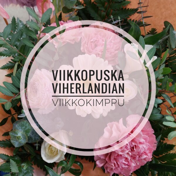Viikkopuska
