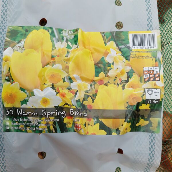 Tulppaani, Narsissisekoitus Warm Spring Blend
