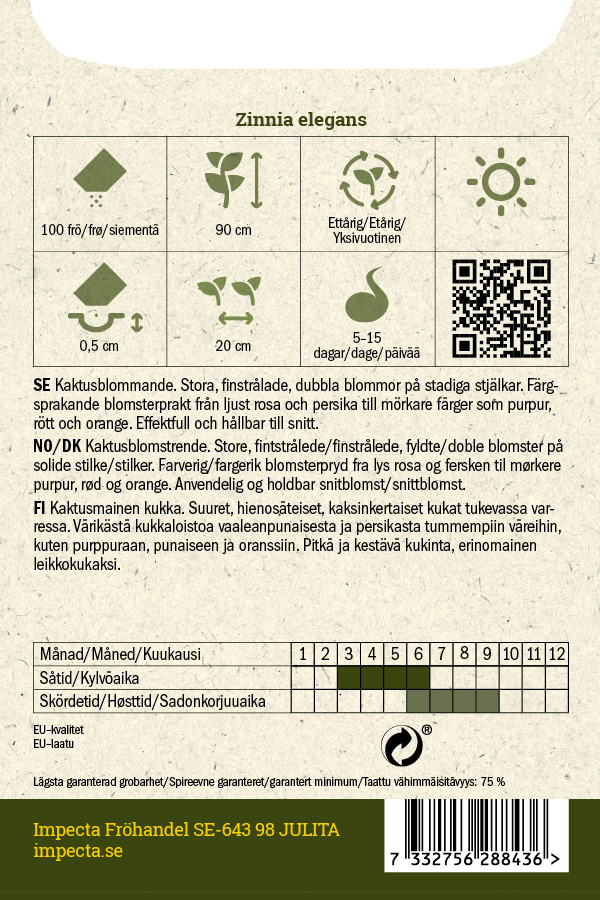 Tsinnia 'Glamour Girls'