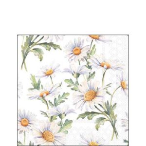 Kahviliina Beutiful daisies valkoinen