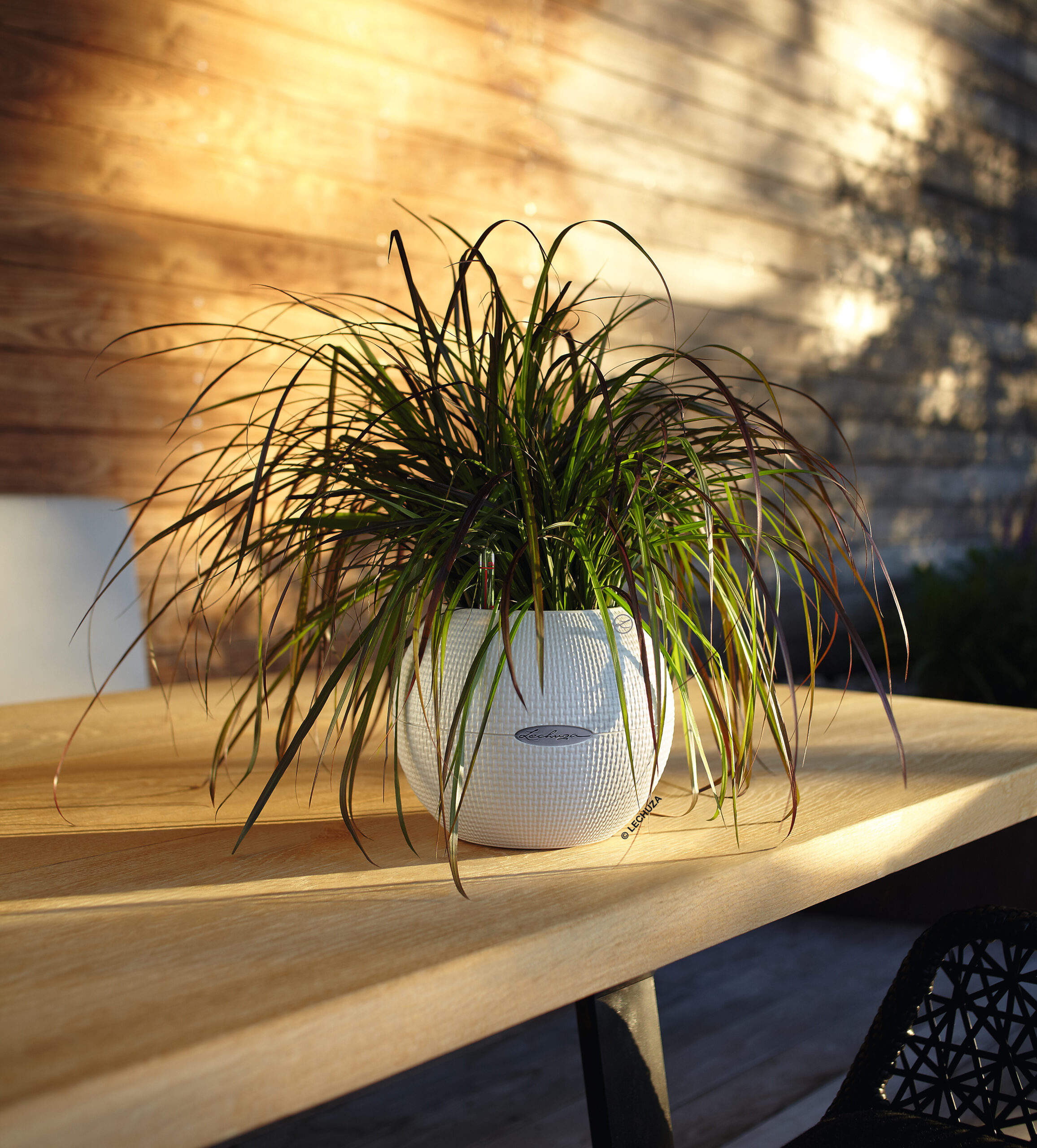 Puro Color 20 valkoinen All-In-One Set - Image 3