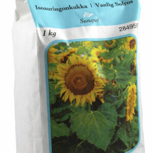 Kääpiöauringonkukka 'Sunspot' 1 kg