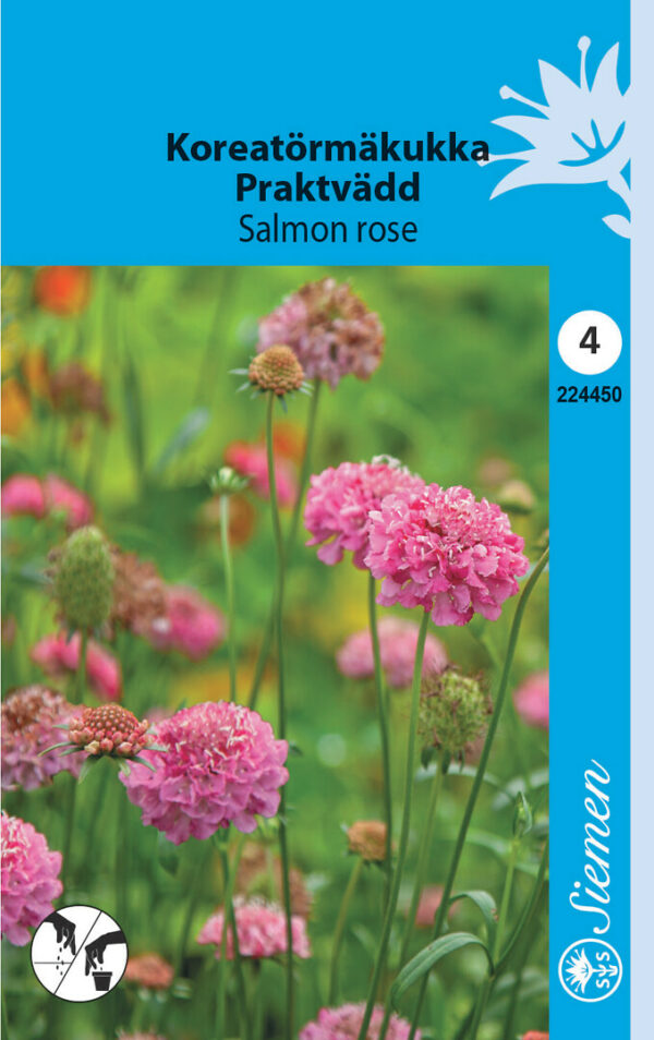 Koreatörmäkukka Salmon Rose