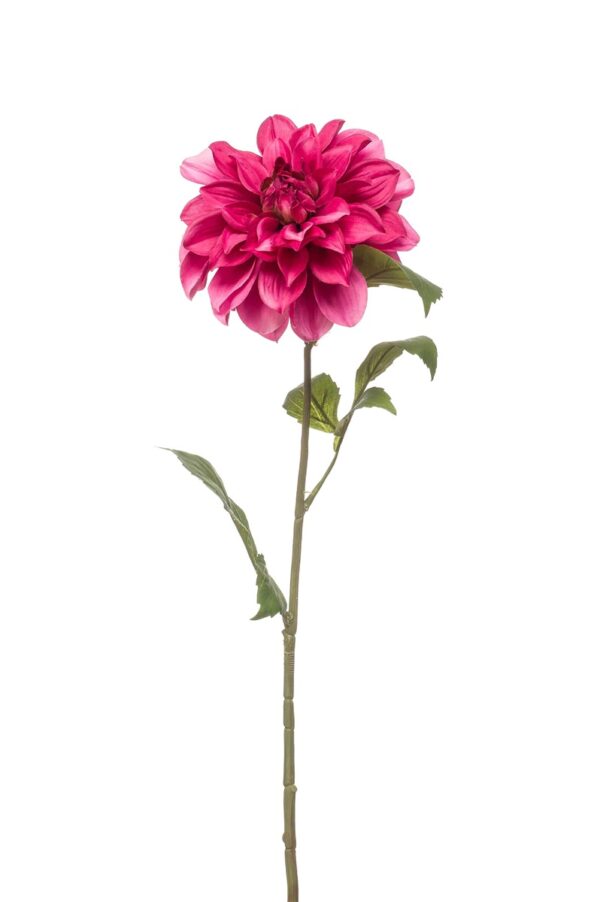 Daalia-oksa 72cm purppura