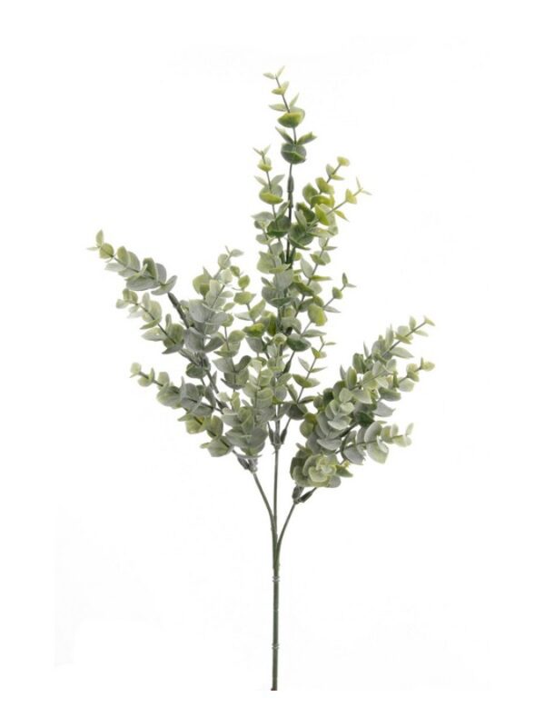 Eucalyptusoksa 68cm