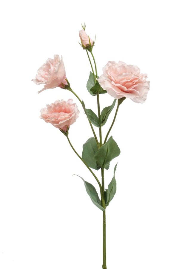 Eustoma 68cm vaalea pinkki