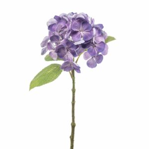 Hortensia-oksa purppura 47cm