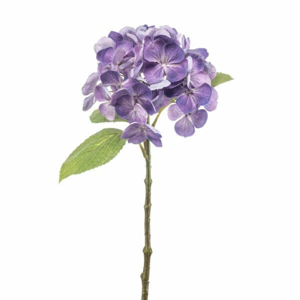 Hortensia-oksa purppura 47cm