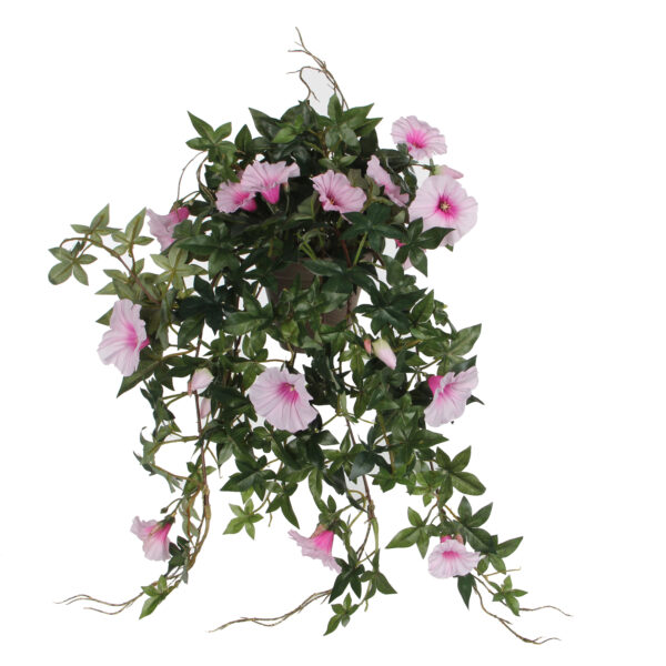 Petunia pinkki 40 cm saviruukussa