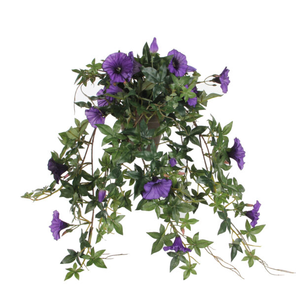 Petunia tumma lila 40 cm saviruukussa