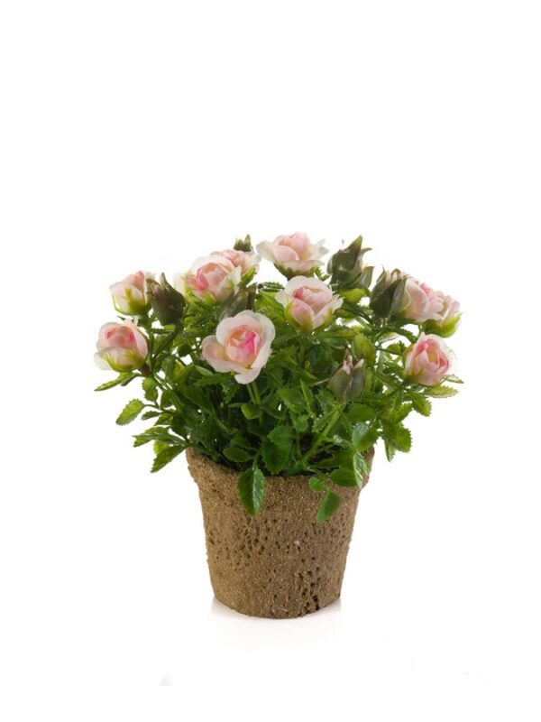Miniruusu pinkki 13cm ruukussa