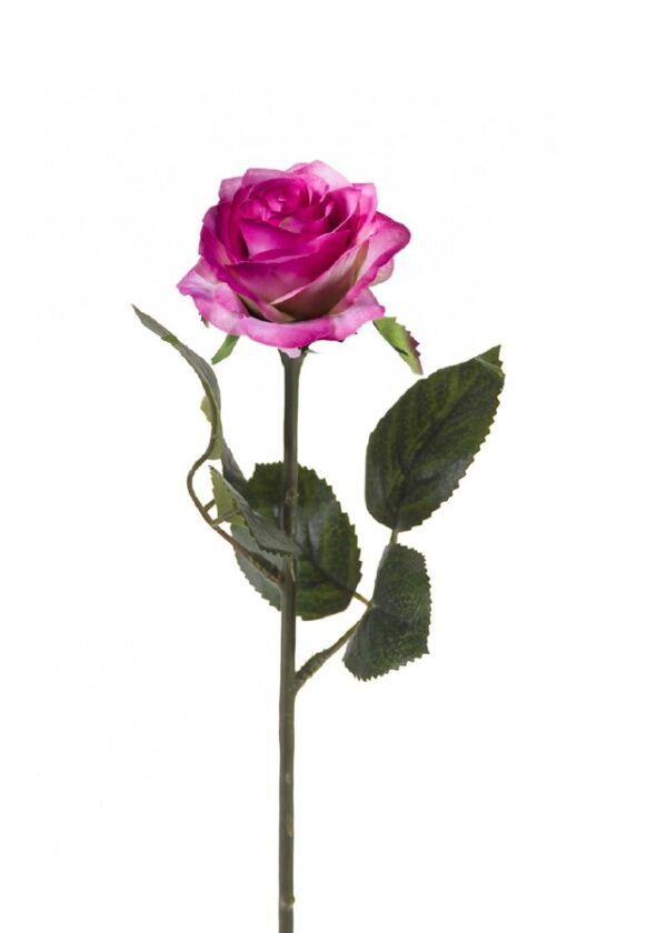 Ruusu 'Simone' 45cm vaalean lila