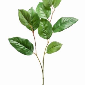 Salali-oksa 70cm vihreä