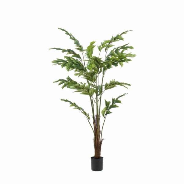 Silkkikasvi Eväpalmu 135cm