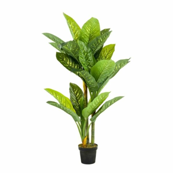 Silkkikasvi Kirjovehka 150cm