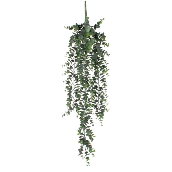 Riippuva Eucalyptus 78cm vihreä