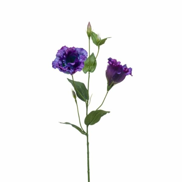 Eustoma-oksa 60cm purppura