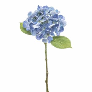 Hortensia-oksa sininen 47cm