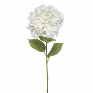 Hortensia XL 90cm valkoinen