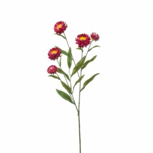 Iso-olkikukka 70cm fuksia