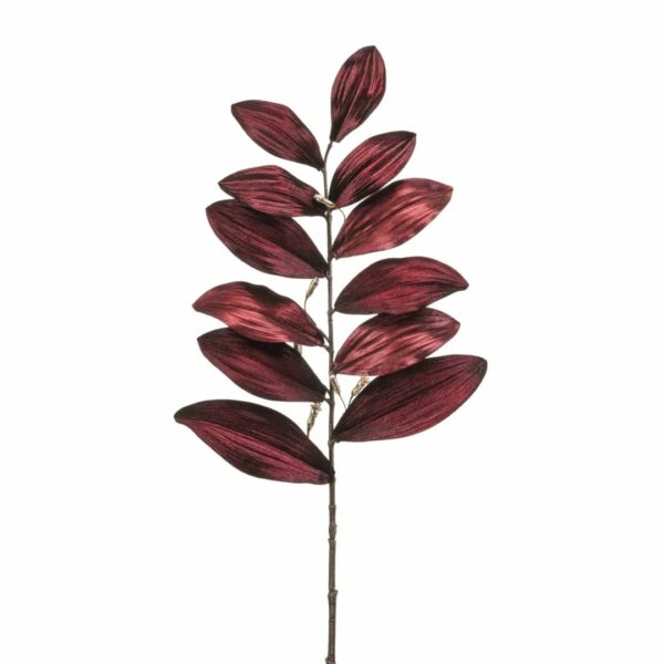 Lehtioksa 75cm burgundi