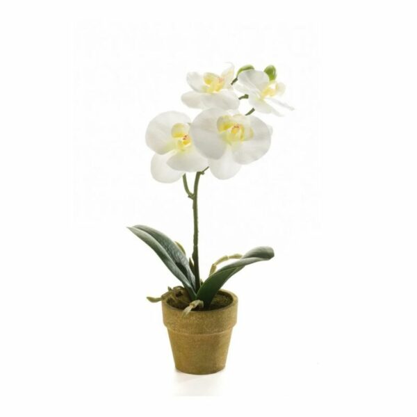 Silkkikukka Mini-perhoskämmekkä 25cm