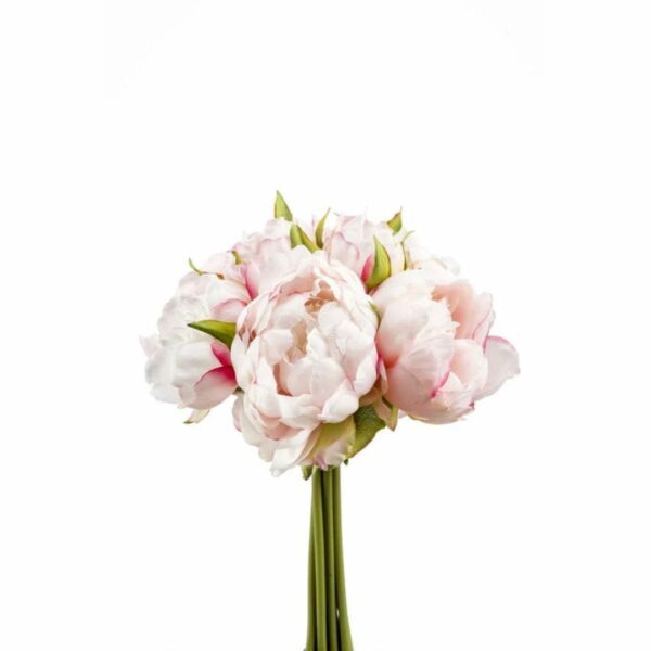 Pionikimppu 24cm, vaaleanpinkki