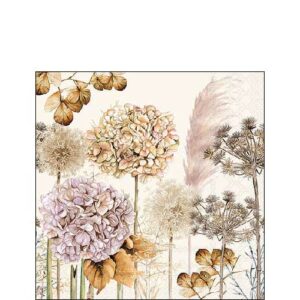 Kahviliina Dried flowers