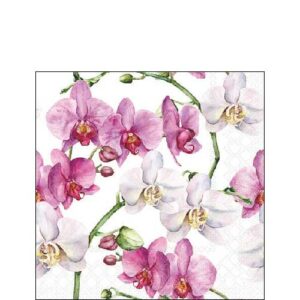 Kahviliina Elegant orchids valkoinen
