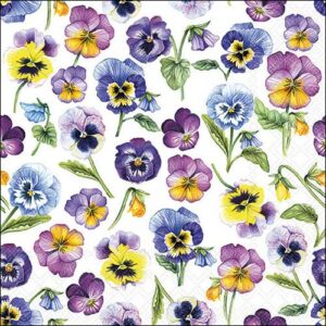 Lounasliina Pansy all over