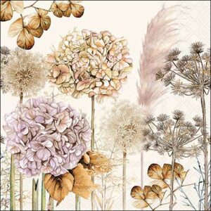 Lounasliina Dried flowers