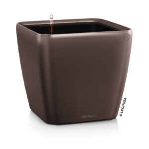 Quadro Premium 21 LS espresso All-In-One Set