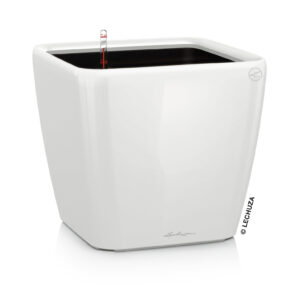Quadro Premium 35 LS valkoinen All-In-One Set