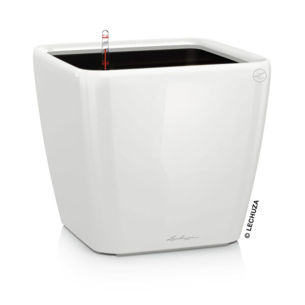 Quadro Premium 35 LS valkoinen All-In-One Set
