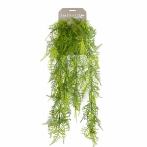 Asparagus-amppeli 80 cm