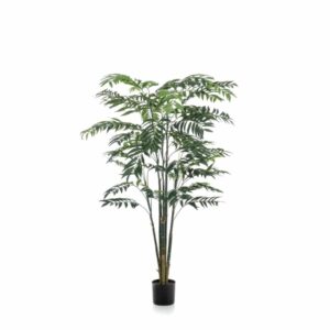 Bambu 195cm ruukussa