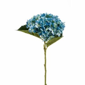 Hortensia-oksa Annabelle 52cm sininen
