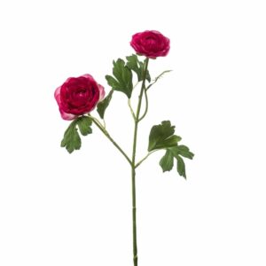 Jaloleinikki-oksa 2-haar 46cm