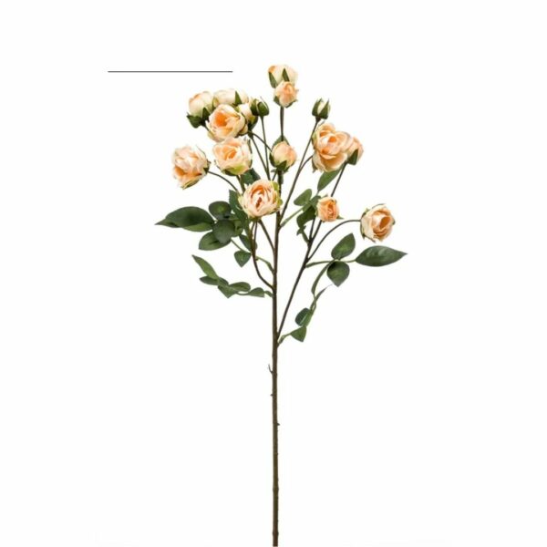 Miniruusu-oksa 57cm vaalea persikka