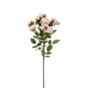 Miniruusu-oksa 57cm vaalea pinkki